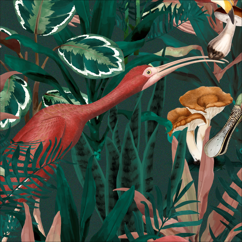 TROPICAL | KIT PEGATINAS PATINETE XIAOMI M365