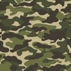 CAMO | KIT PEGATINAS PATINETE XIAOMI M365