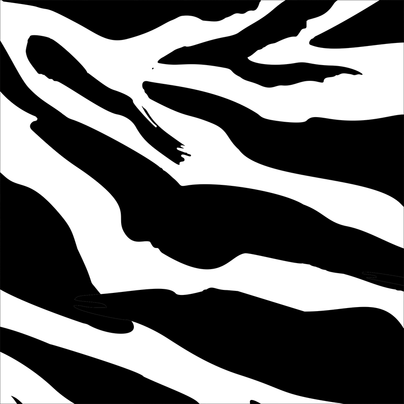 ZEBRA | KIT PEGATINAS PATINETE XIAOMI M365